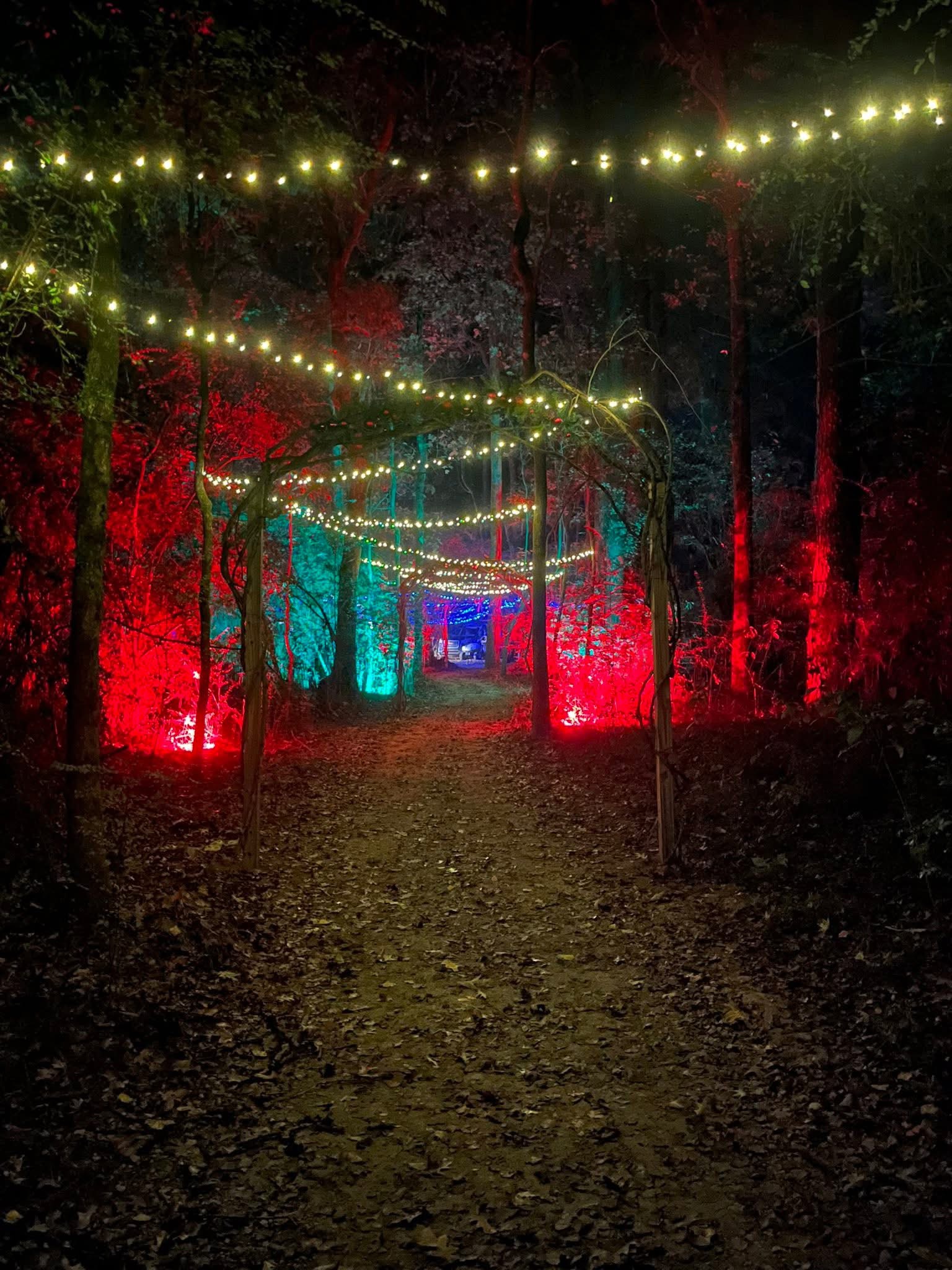 Lit Pathway