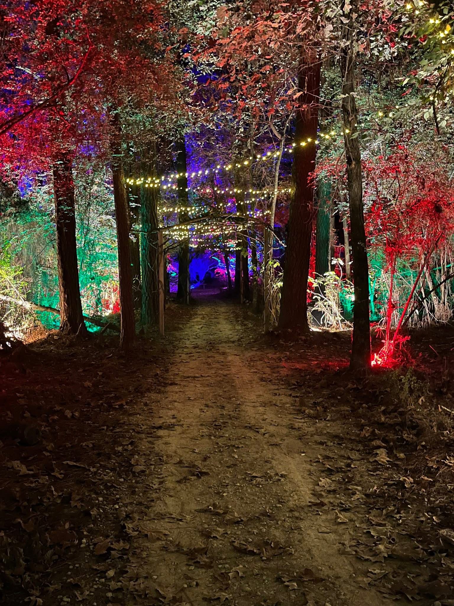 Lit Pathway 2
